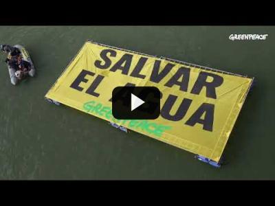 Embedded thumbnail for Video: ¡ACCIÓN! Manifestación acuática en Sevilla para salvar el agua