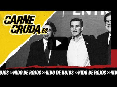 Embedded thumbnail for Video: T10x2 - Los Rubiales: Feijóo, Aznar y la Federación (NIDO DE ROJOS - CARNE CRUDA)