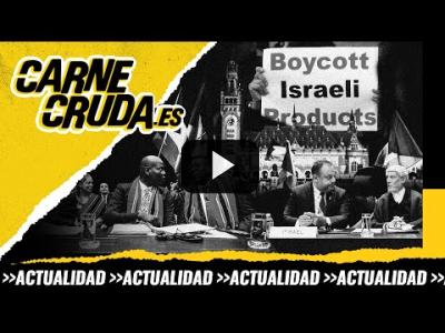 Embedded thumbnail for Video: T10x60 - Cómo plantar cara a Israel: juicio y boicot (CARNE CRUDA)