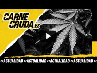 Embedded thumbnail for Video: T10x71 - Cannabis: la legislatura de la legalización (CARNE CRUDA)