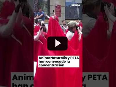 Embedded thumbnail for Video: Protesta en Pamplona contra el maltrat0 animal en San Fermín