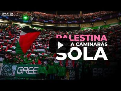 Embedded thumbnail for Video: Palestina, nunca caminarás sola: los aficionados del Celtic muestran su apoyo a pesar de sanciones