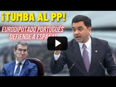Embedded thumbnail for Video: Un EURODIPUTADO portugués DEFIENDE a SÁNCHEZ y le da esta TUNDA al PP de FEIJÓO!