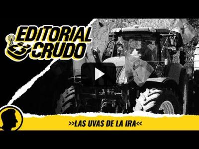 Embedded thumbnail for Video: #EditorialCrudo: Las uvas de la ira (CARNE CRUDA)