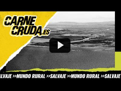 Embedded thumbnail for Video: T9x129 - El Delta del Ebro se hunde: S.O.S cambio climático (SALVAJE - CARNE CRUDA)