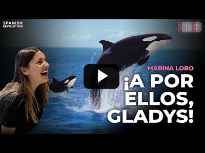 Embedded thumbnail for Video: ¡A por los ricos, Gladys!