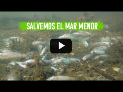 Embedded thumbnail for Video: Salvemos el Mar Menor