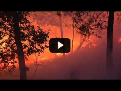 Embedded thumbnail for Video: Incendios intencionados devoran miles de hectáreas de bosque y monte bajo en Ourense