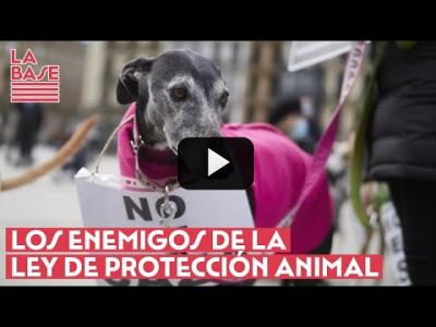 Embedded thumbnail for Video: La Base #2x68 - Los enemigos de la Ley de Protección Animal
