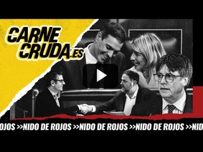 Embedded thumbnail for Video: T10x27 - La amnistía se hace bola (NIDO DE ROJOS - CARNE CRUDA)
