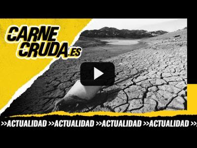 Embedded thumbnail for Video: T9x119 - Sequía: cómo sobrevivir sin agua (CARNE CRUDA)