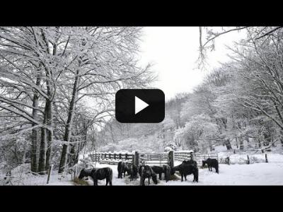 Embedded thumbnail for Video: Un fuerte temporal deja mucha nieve y temperaturas polares en gran parte de España