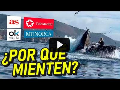 Embedded thumbnail for Video: BALLENA CASI SE COME A DOS PERSONAS: ¡PASÓ EN EL 2020!