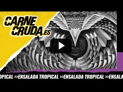 Embedded thumbnail for Video: T10x106 - Chicanos: la revuelta del brown power (ENSALADA TROPICAL - CARNE CRUDA)
