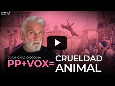 Embedded thumbnail for Video: Vox+PP: crueldad animal. El regreso de los toros embolados a las Fallas, con Juan Ignacio Codina