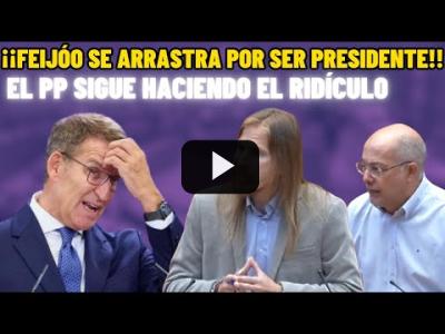 Embedded thumbnail for Video: Pablo Fernández e Igea RIDICULIZAN al PP: FEIJÓO se ARRASTRA...¡¡NO van a GOBERNAR!!