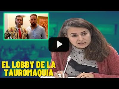 Embedded thumbnail for Video: Irene de Miguel DESMONTA el CHIRINGUITO de VOX: el LOBBY de la TAUROMAQUIA